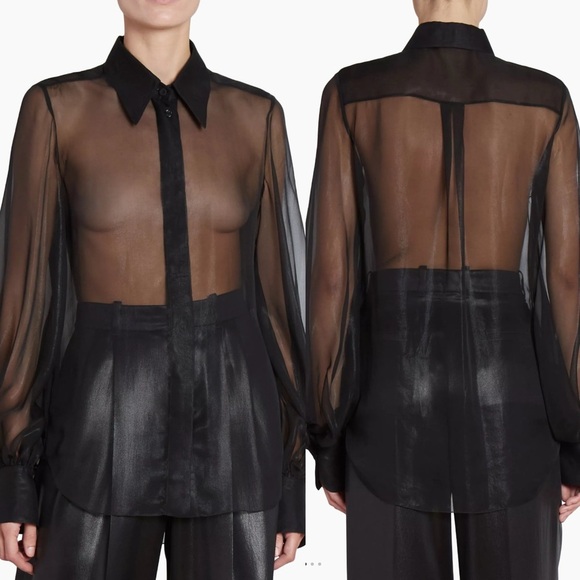 Chloé Sheer Silk Chiffon Blouse - Picture 3 of 6